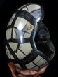 Septarian Dragon Egg Geode - Crystal Filled #37359-4